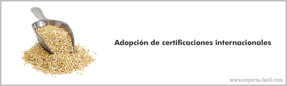 Adopcion de certificaciones internacionales 14 Adopcion de certificaciones internacionales 13