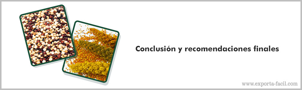 Conclusion y recomendaciones finales 11
