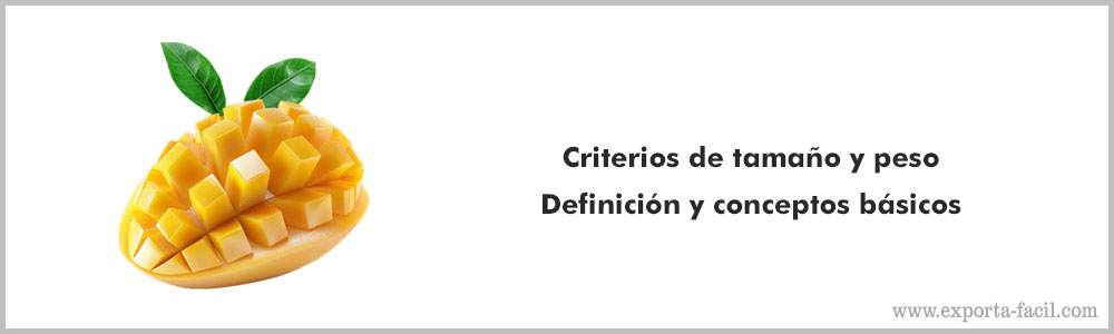 Criterios de tamano y 3