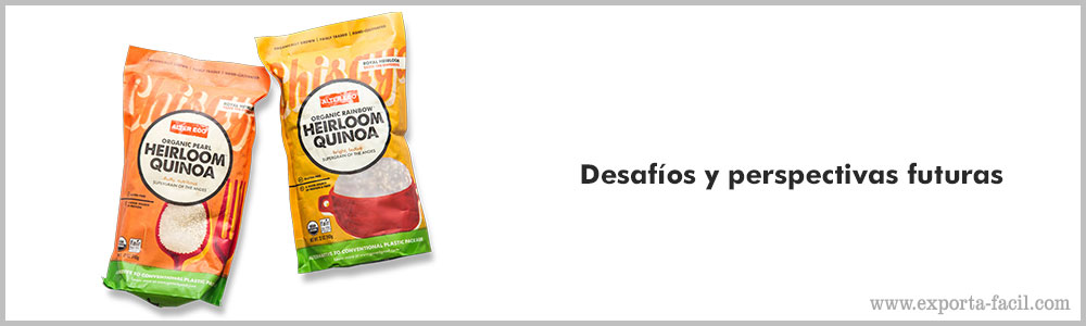 Desafios y perspectivas futuras 3