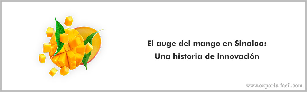 El auge del mango en Sinaloa Una historia de innovacion 9