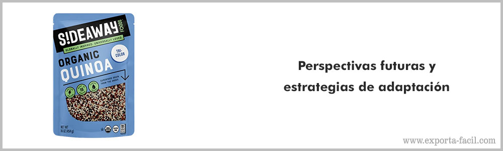Perspectivas futuras y estrategias de adaptacion 7