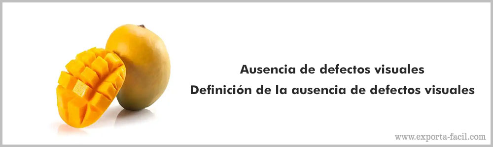 la ausencia dectos visuales 5