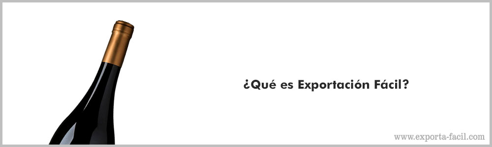 ¿Que es Exportacion Facil 8 ¿Que es Exportacion Facil 7